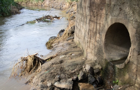 Contaminación en el río